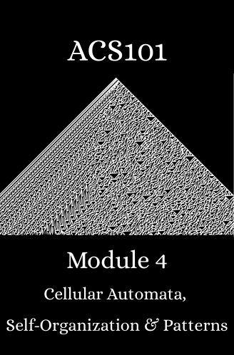 Module 4: Cellular Automata, Self-Organization, and Pattern Formation