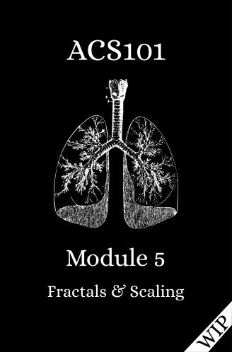 Module 5: Fractals and Scaling