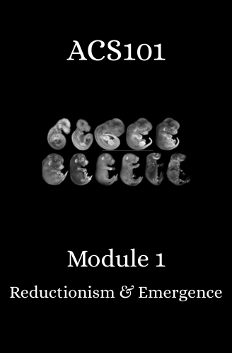 Module 1: Reductionism and Emergence