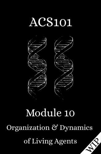 Module 10: Organization and Dynamics of Living Agents