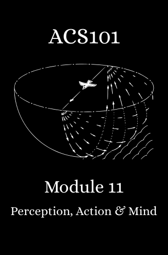 Module 11: Perception, Action and Mind