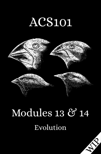 Modules 13 & 14: Evolution